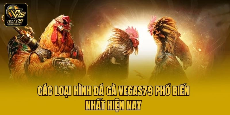 Các loại hình đá gà Vegas79 phổ biến nhất hiện nay