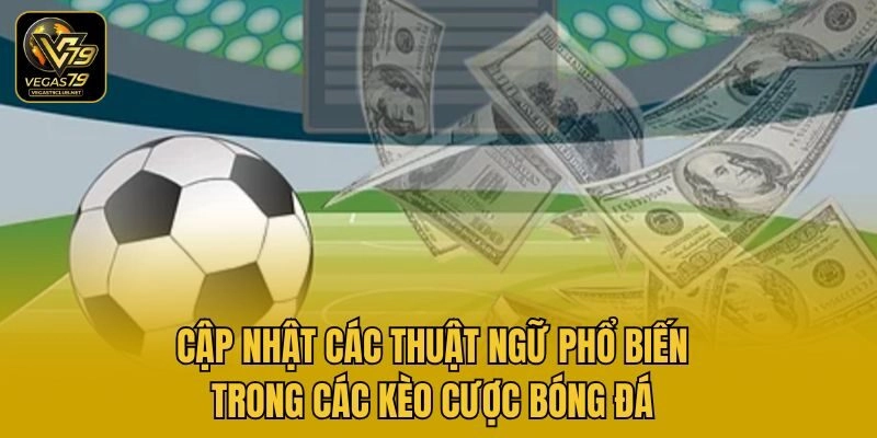 Cập nhật các thuật ngữ phổ biến trong các kèo cược bóng đá